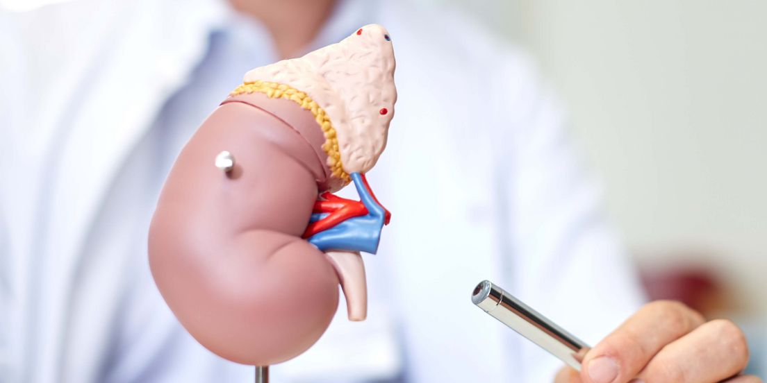 Fachbereich: Urologie
