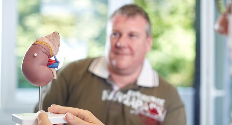 Patient betrachtet das Modell einer menschlichen Niere
