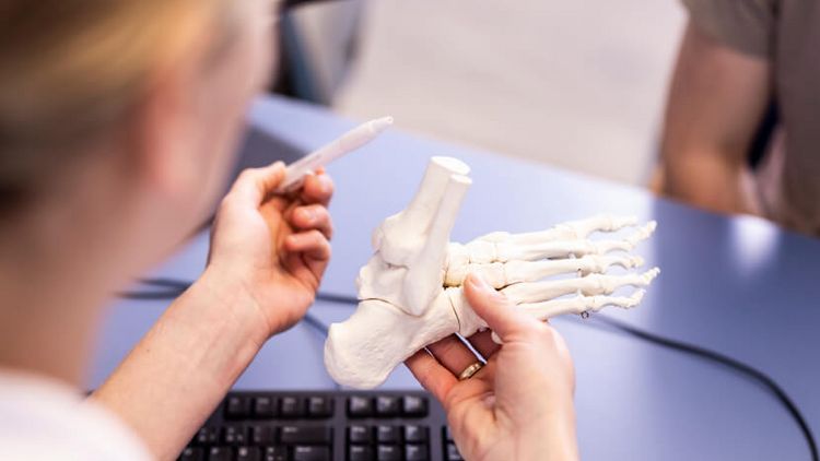 Ärztin erklärt Patienten Fußknochen am Fußmodell
